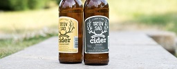 Cider 
