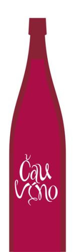 Merlot rosé Tetur 2020 pozdní sběr 0,75l polosuché 013