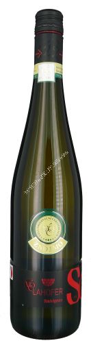 Sauvignon Lahofer 2024 VOC 0,75l suché 2124