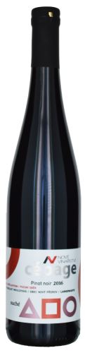 Pinot noir Rulandské modré Nové Vinařství 2016 pozdní sběr 0,75l suché NV 240